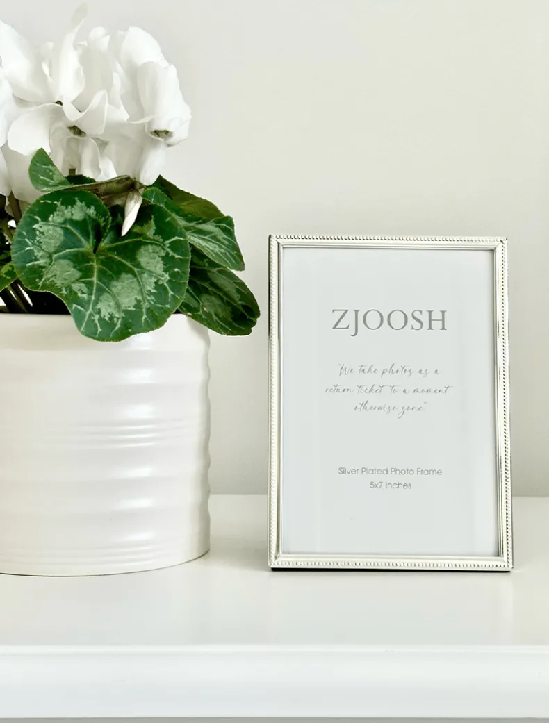 Abingdon Photo Frame Silver 5x7