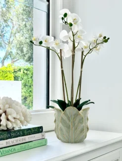 Cabbage Leaf Pot Light Green Large