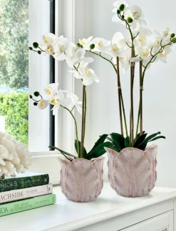 Cabbage Leaf Pot Pink Small