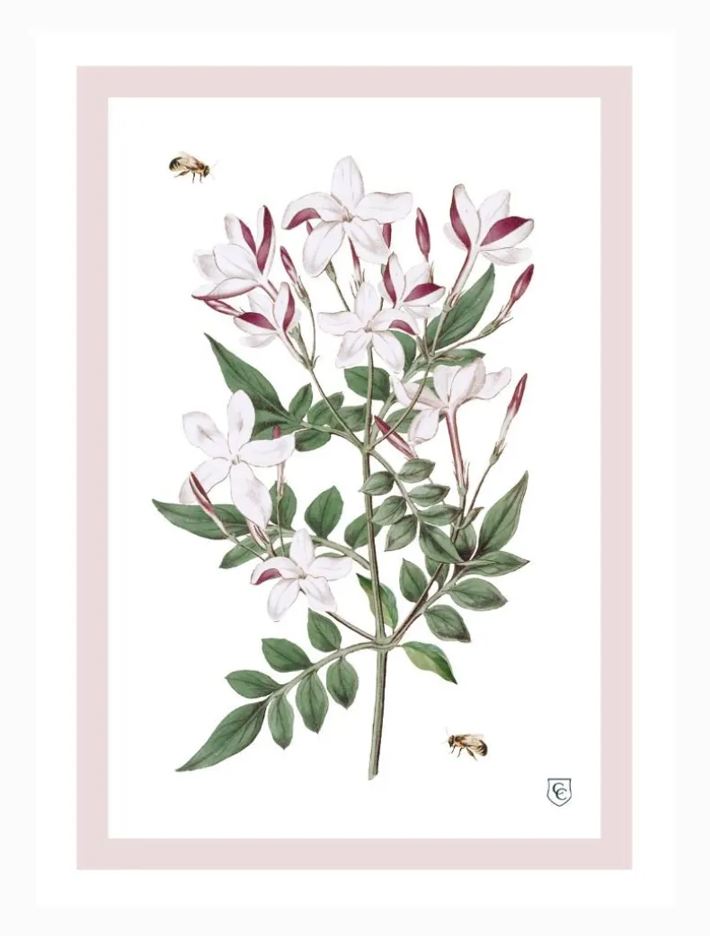 CC Botanical Tea Towel Jasmine