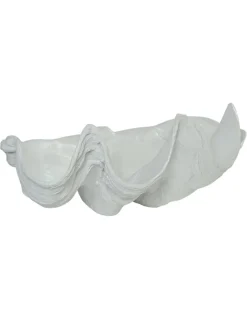 Clam Shell Décor 40cm