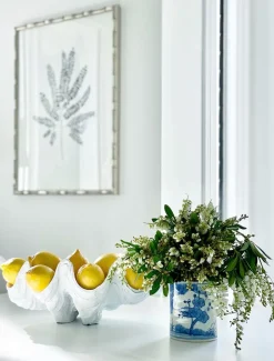 Clam Shell Decor 52cm White