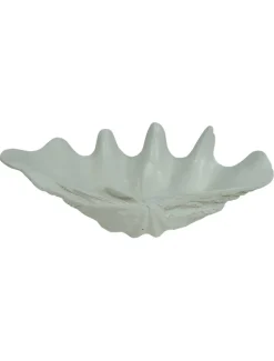 Clam Shell Decor 52cm White