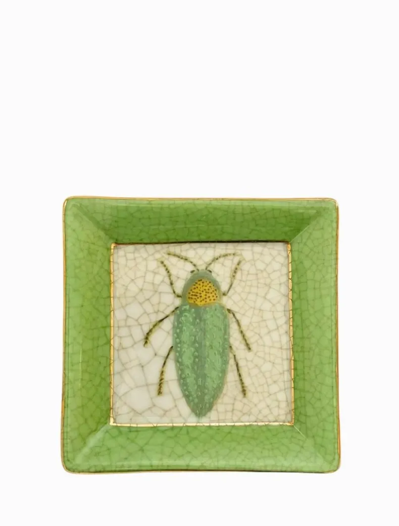 Exotico Wall Plate Buprestis