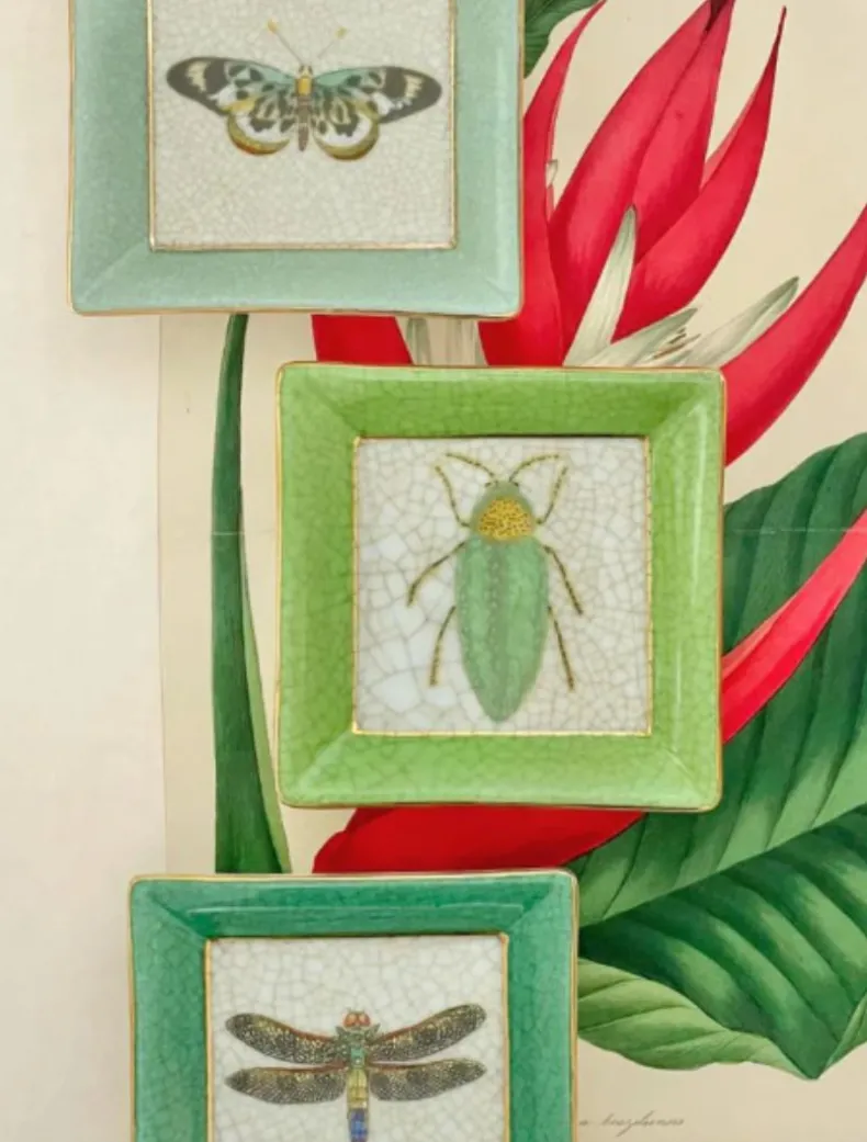 Exotico Wall Plate Buprestis