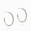Fine Crystal Hoops Silver