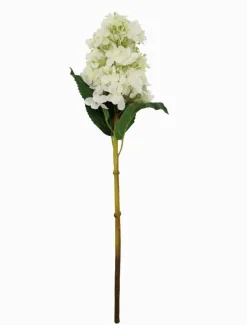 Hydrangea Cone 50cm Ivory