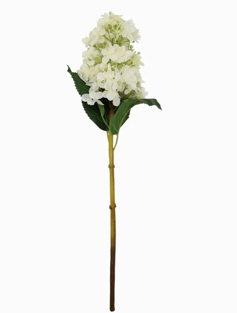 Hydrangea Cone 50cm Ivory