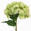 Hydrangea Stem 52cm Green