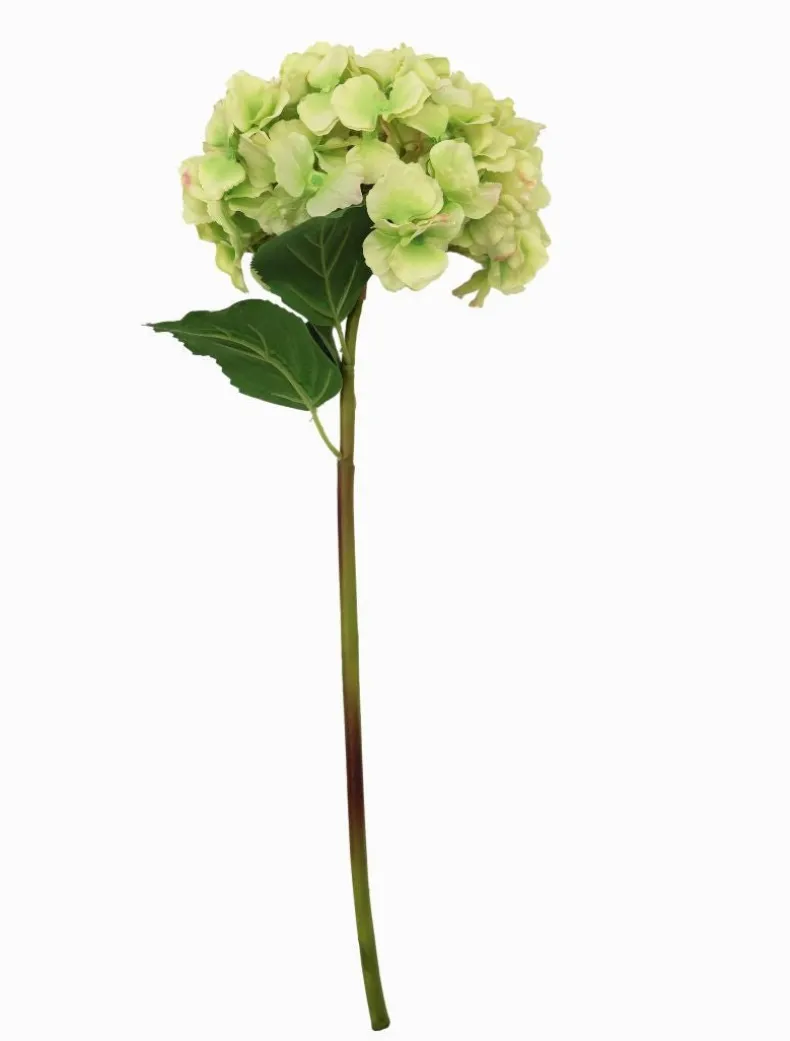 Hydrangea Stem 52cm Green