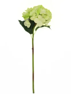 Hydrangea Stem 52cm Light Green