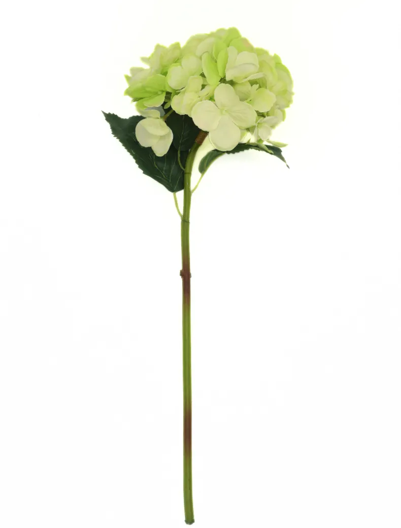 Hydrangea Stem 52cm Light Green