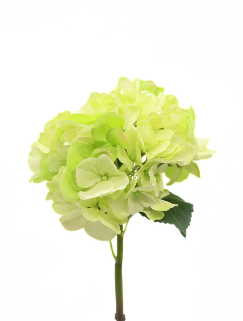 Hydrangea Stem 52cm Light Green