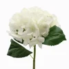 Hydrangea Stem 52cm White
