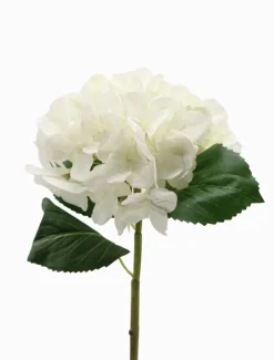 Hydrangea Stem 52cm White
