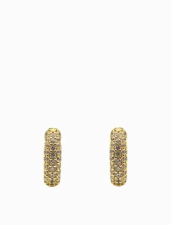 Lucienne Crusted Crystal Hoops Gold