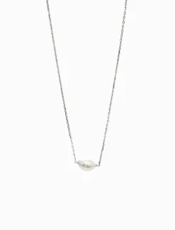 Lucienne Freshwater Pearl on Chain 925 Rhodium