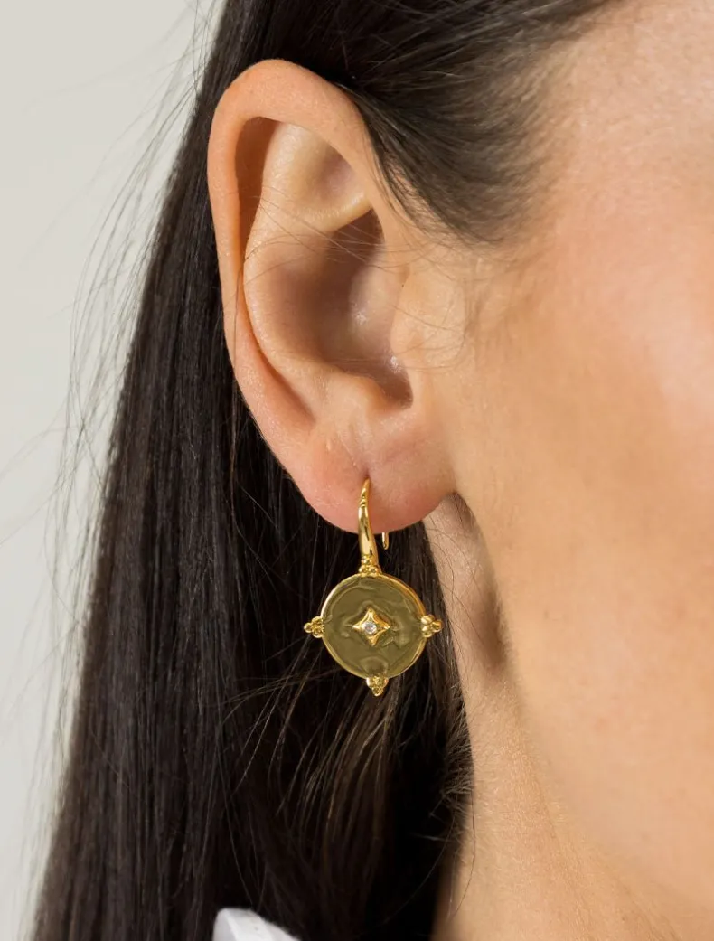 Lucienne Gold and Crystal Hooks