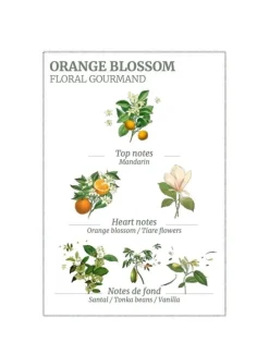 Orange Blossom Hand Cream 75ml