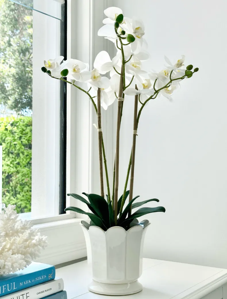 Orchid Phalaenopsis (61cm) White