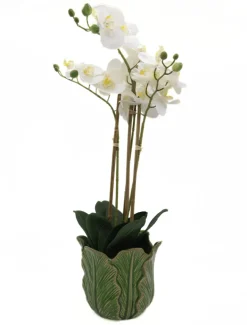 Orchid Phalaenopsis (61cm) White