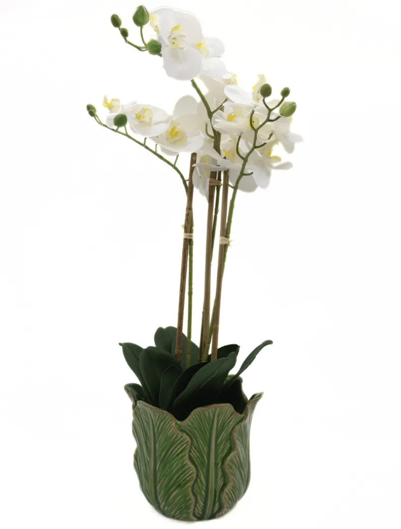 Orchid Phalaenopsis (61cm) White