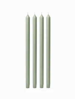 Pale Eucalypt Dinner Candle 40cm (Pack of 4)