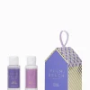Palm Beach Gingerbread House Travel Duo Fig Tree - FINAL SALE
