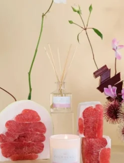 Palm Beach Pomelo and Dewberry Mini Diffuser 50ML