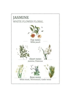 Precious Jasmine Body Lotion 250ml - FINAL SALE