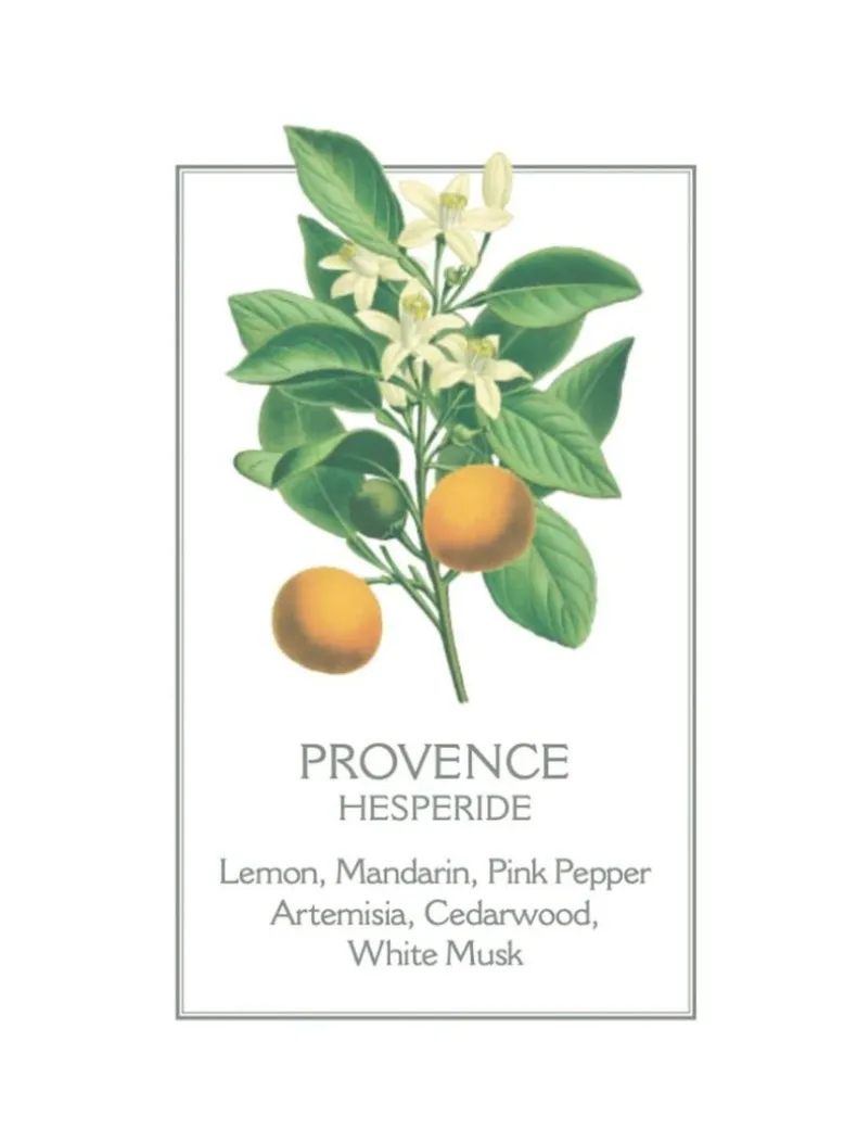 Provence Body Lotion 250ml - FINAL SALE