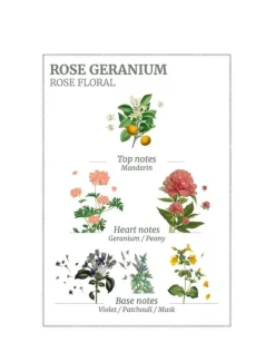 Rose Geranium Hand Cream 75ml