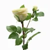 Rose Stem 58cm Ivory
