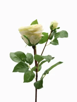 Rose Stem 58cm Ivory