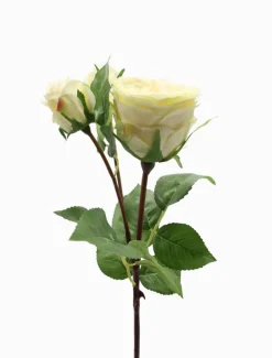 Rose Stem 58cm Ivory