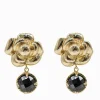 Roselte Black Crystal Drops