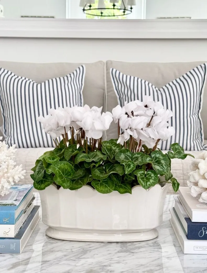 Scallop Planter White