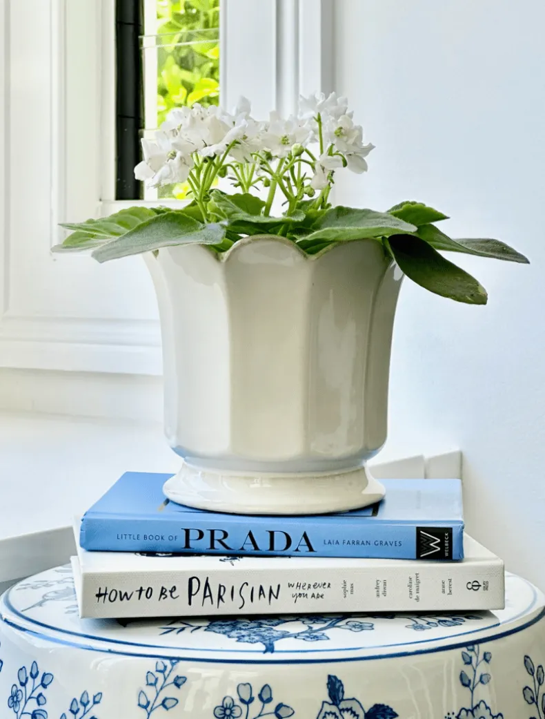 Scalloped Pot White Large
