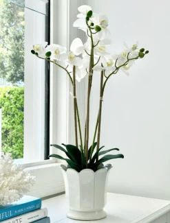 Scalloped Pot White Large