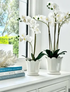 Scalloped Pot White Small