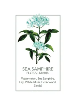 Sea Samphire Hand Cream 75ml