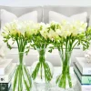 Soiree Trio of Vases Clear