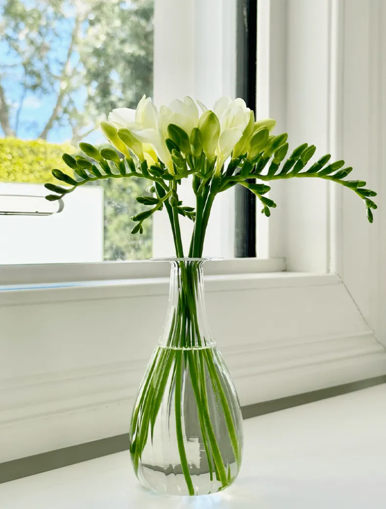 Soiree Trio of Vases Clear