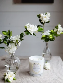 Zjoosh Candle Odette Night Gardenia