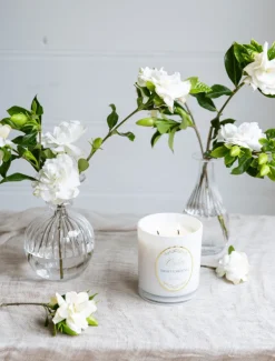 Zjoosh Candle Odette Night Gardenia